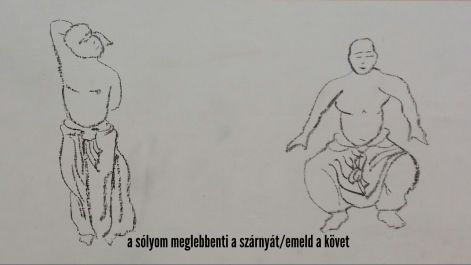 a_solyom_meglebbenti_a_szarnyat_emeld_a_kovet.jpg