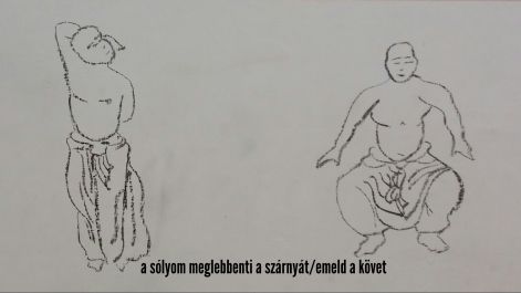 a_solyom_meglebbenti_a_szarnyat_emeld_a_kovet.jpg